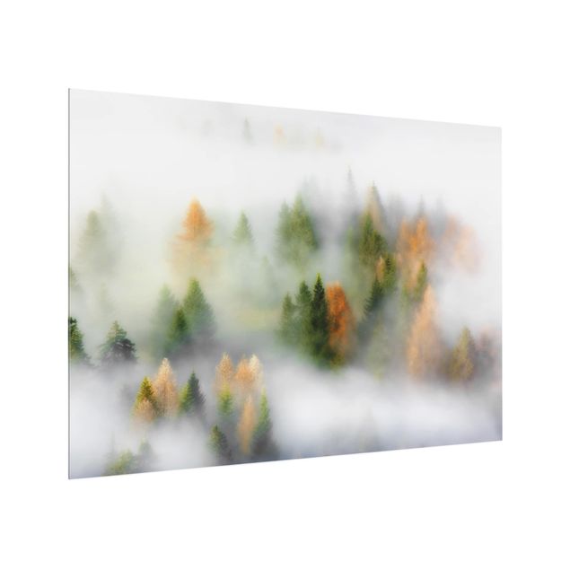 Glass splashback kitchen Cloud Forest In Autumn
