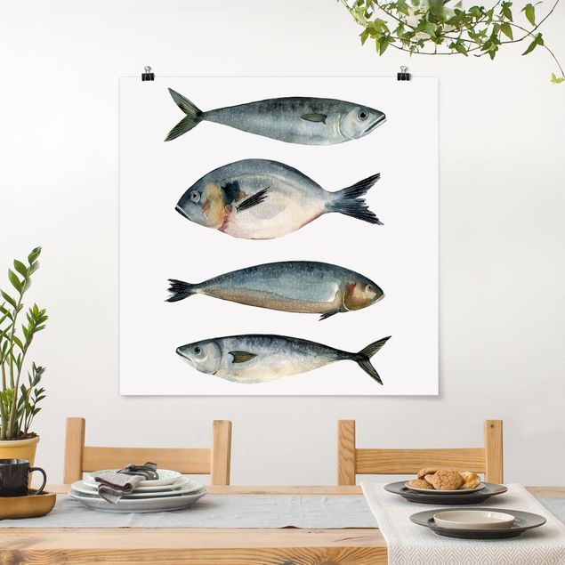 Prints fishes Four Fish In Watercolour II