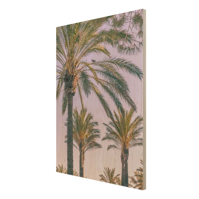 Wood prints landscape Palm Trees At Sunset