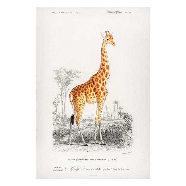 Giraffe print Vintage Board Giraffe