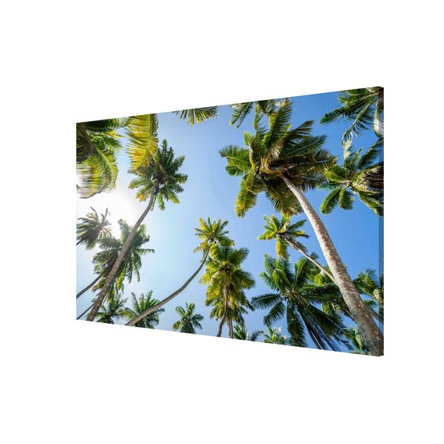 Contemporary art prints Palm Tree Canopy