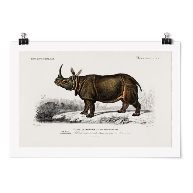 Prints animals Vintage Board Rhino