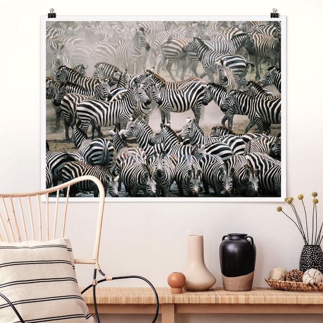 Prints zebra Zebra Herd