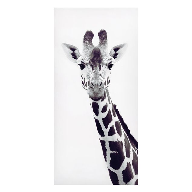 Giraffe print Giraffe Portrait In Black And White
