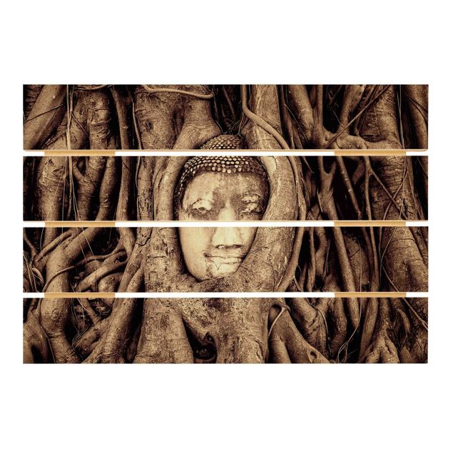 Vintage wood prints Buddha In Ayutthaya Lined From Tree Roots In Brown