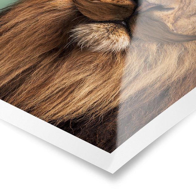 Animal wall art Lion With Beard