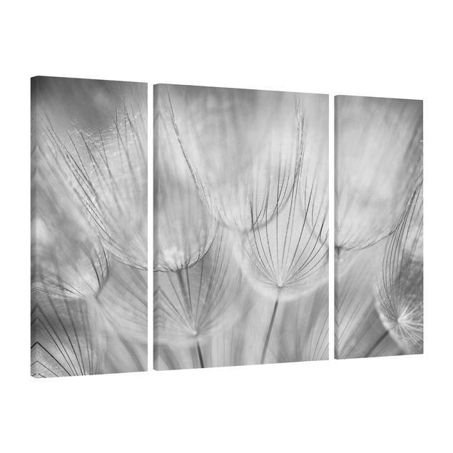 Black and white canvas art Dandelions Macro Shot In Black And White