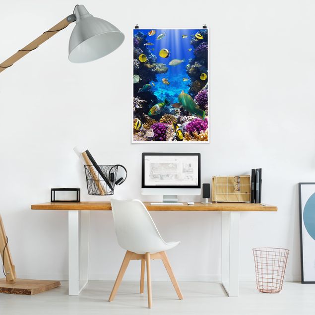 Prints fishes Underwater Dreams