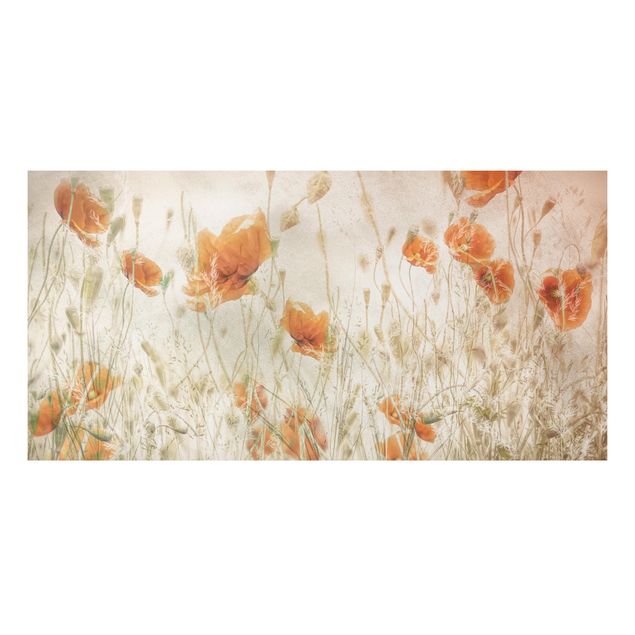 Prints poppy Poppy Flowers And Grasses In A Field