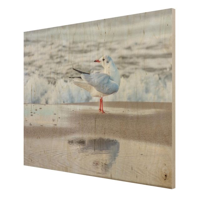 Wood prints beach Seagull On The Beach In Front Of The Sea