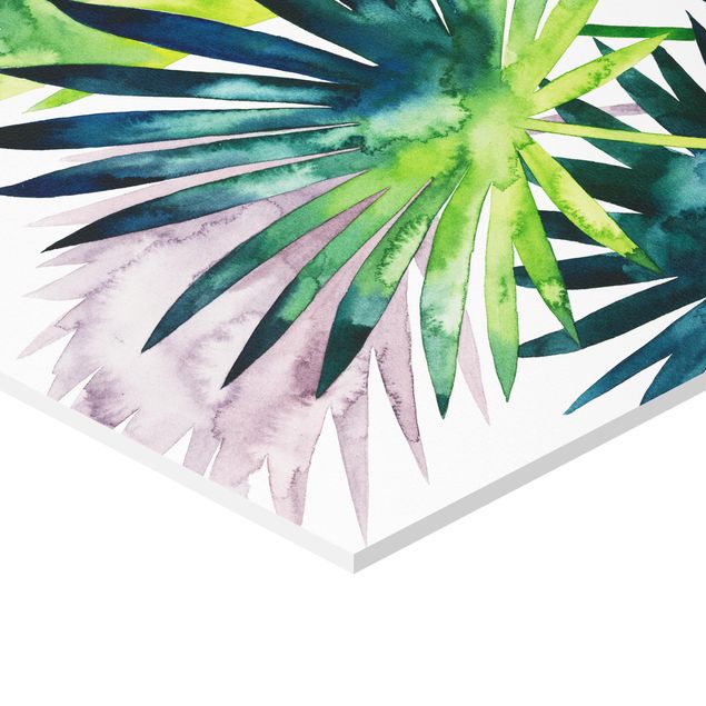 Hexagon photo prints Exotic Foliage - Fan Palm