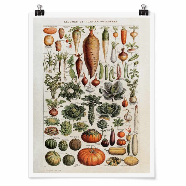 Floral prints Vintage Board Vegetables