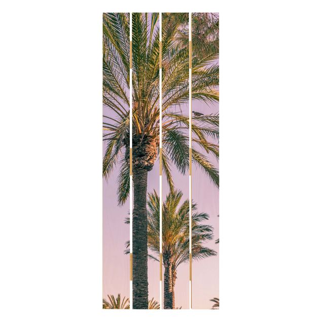 Uwe Merkel Palm Trees At Sunset