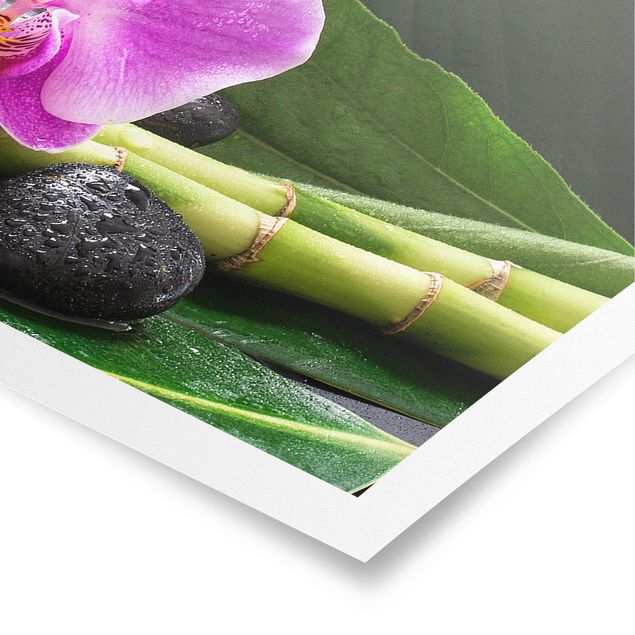 Posters art print Green Bamboo With Orchid Flower
