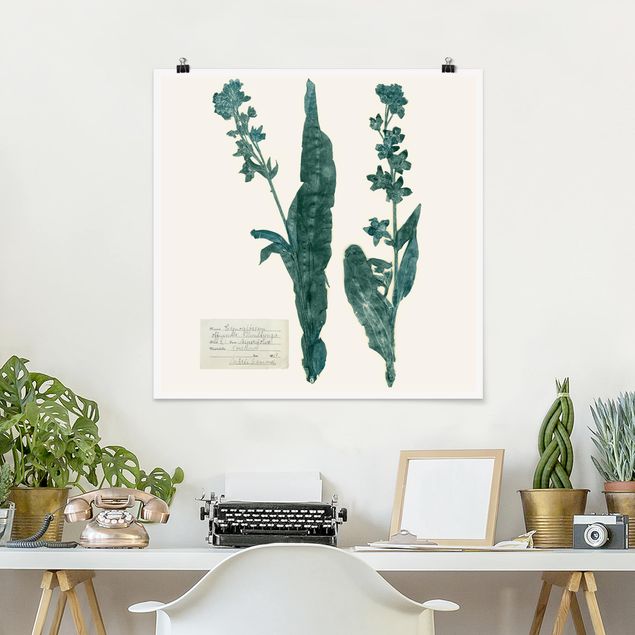 Dog canvas art Pressed Flowers - Hound's Tongue