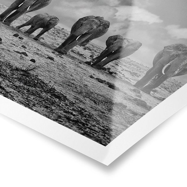 Black and white poster prints Large Familiy