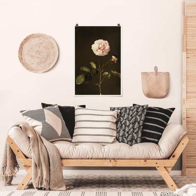 Art prints Barbara Regina Dietzsch - French Rose With Bumblbee