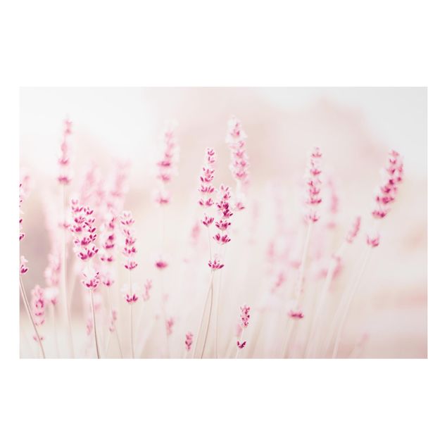 Floral canvas Pale Pink Lavender