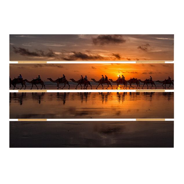 Wood prints Camel Safari