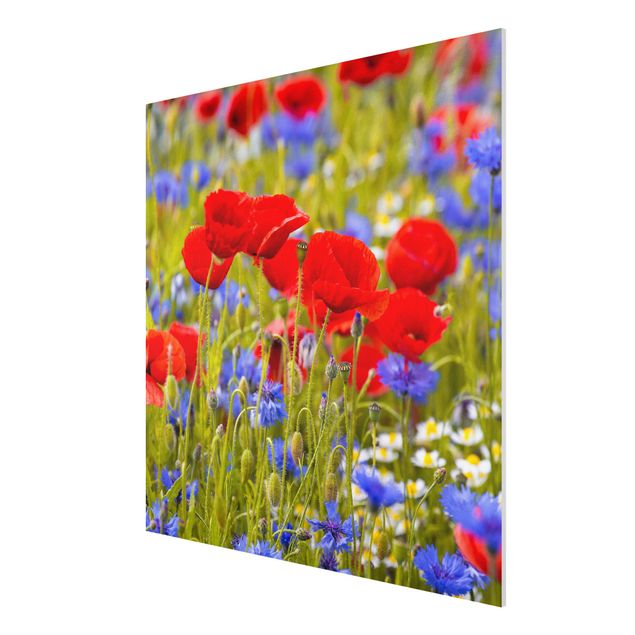 Art posters Summer Meadow With Poppies And Cornflowers