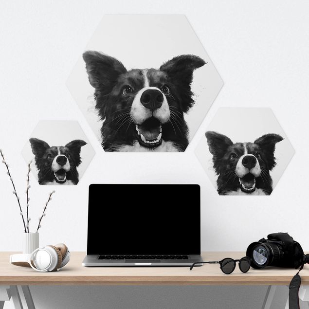 Hexagon photo prints Illustration Dog Border Collie Black And White Painting