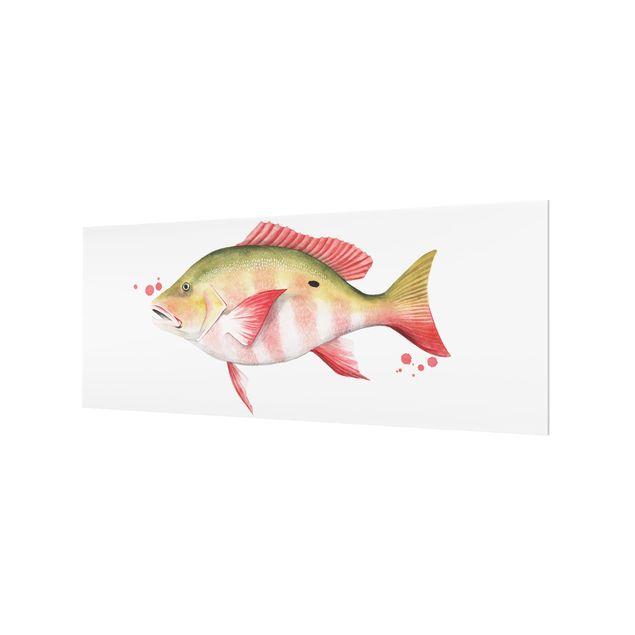 Glass Splashback - Ink Trap - Northern Red Snapper - Panoramic