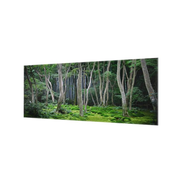 Glass Splashback - Japanese Forest - Panoramic