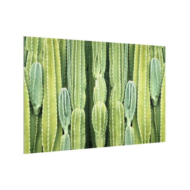 Glass splashback Cactus Wall