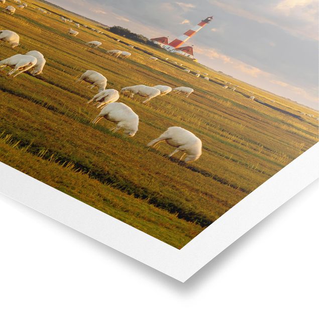 Prints modern North Sea Lighthouse With Flock Of Sheep