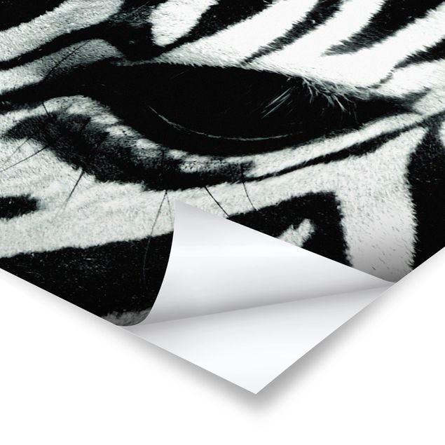 Black and white art Zebra Crossing