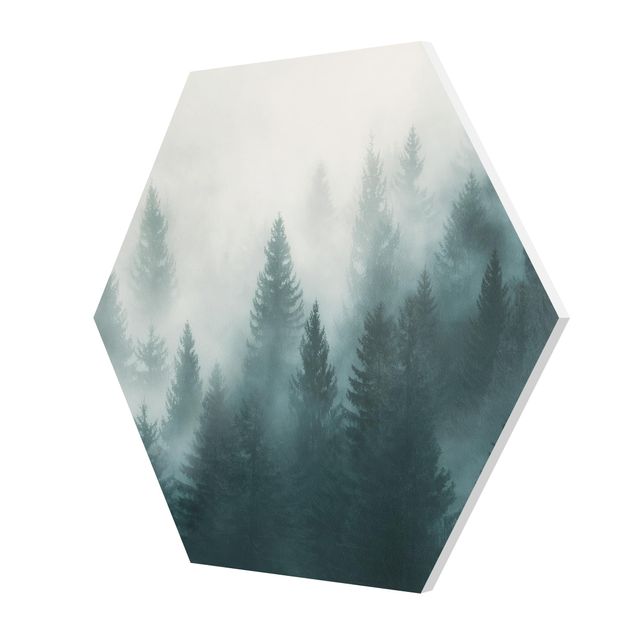 Forex photo prints Coniferous Forest In Fog