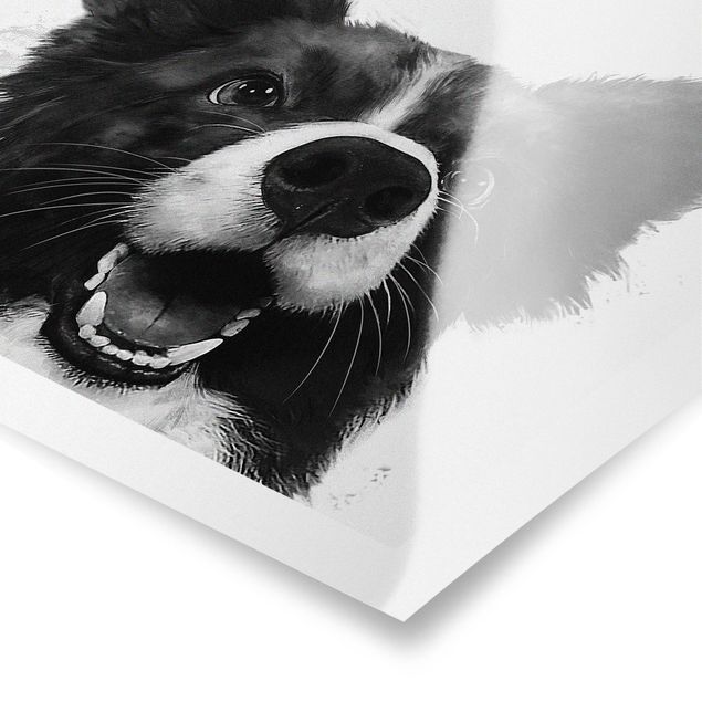 Black and white art Illustration Dog Border Collie Black And White Painting