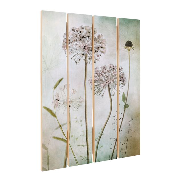 Wood photo prints Allium flowers in pastel