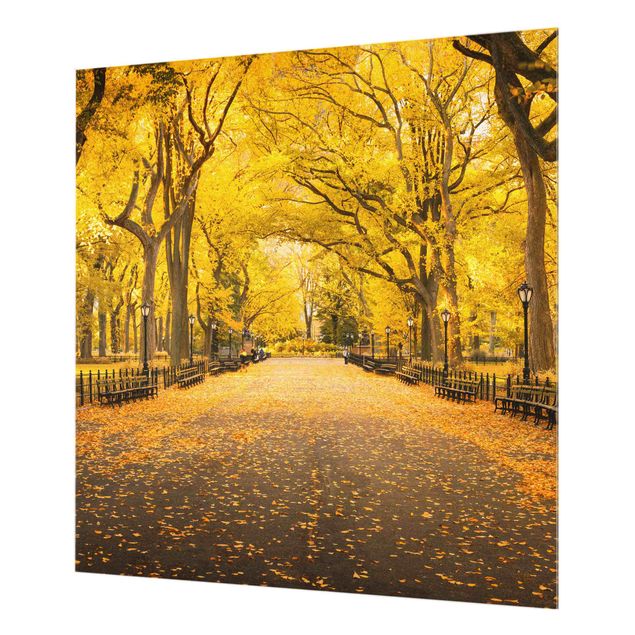 Splashback - Autumn In Central Park - Square 1:1