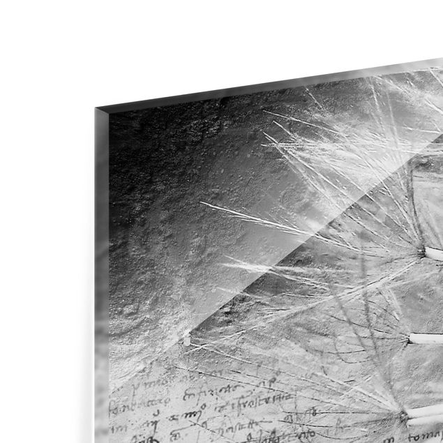 Glass Splashback - Dandelion Black & White - Landscape 1:2