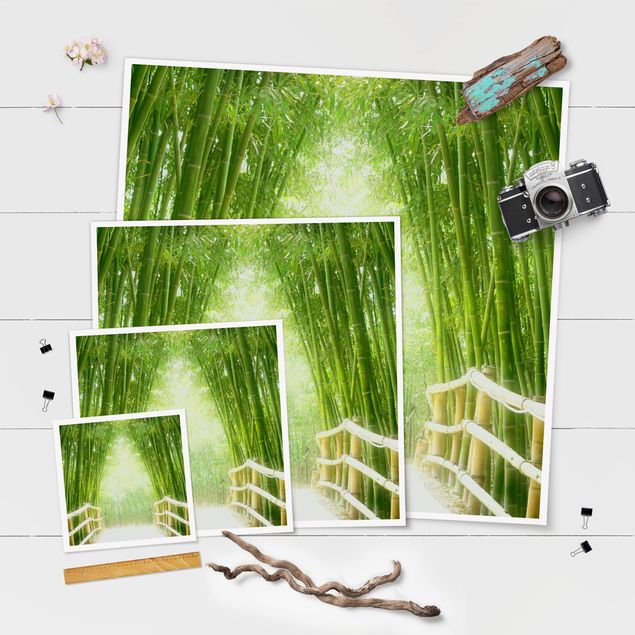 Posters landscape Bamboo Way