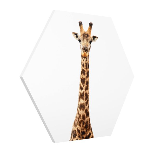 Contemporary art prints Giraffe head