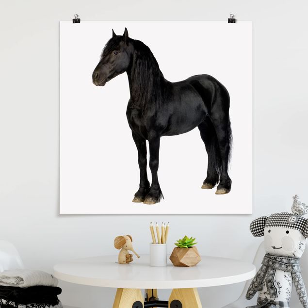 Horse prints Friesian