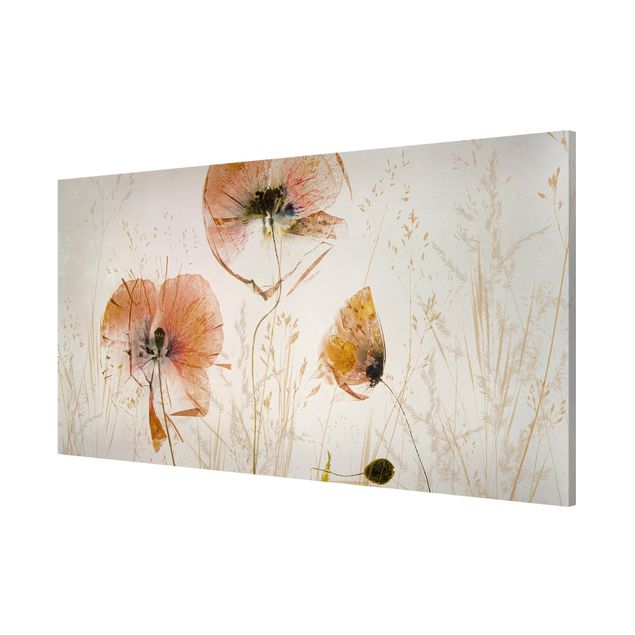 Magnet boards flower Dried Poppy Flowers With Delicate Grasses