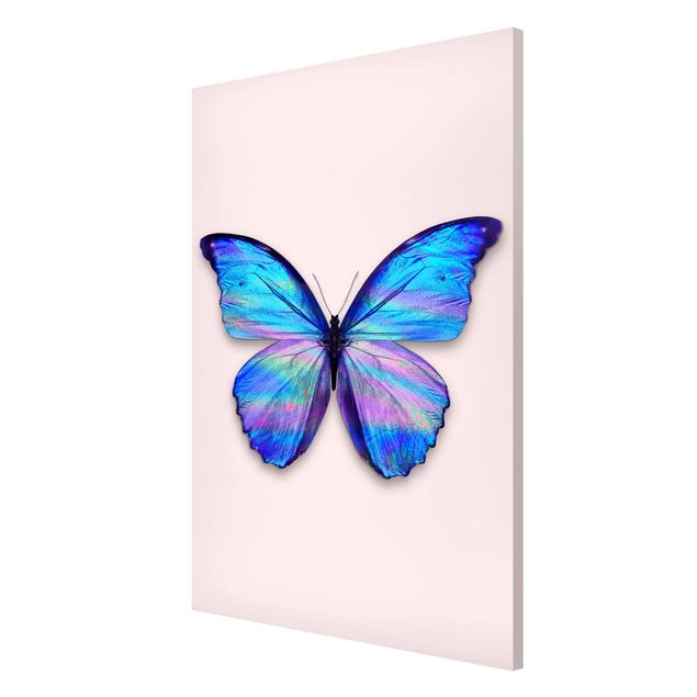 Butterfly print Holographic Butterfly