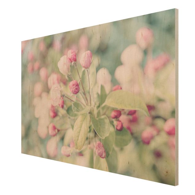 Vintage wood prints Apple Blossom Bokeh Light Pink