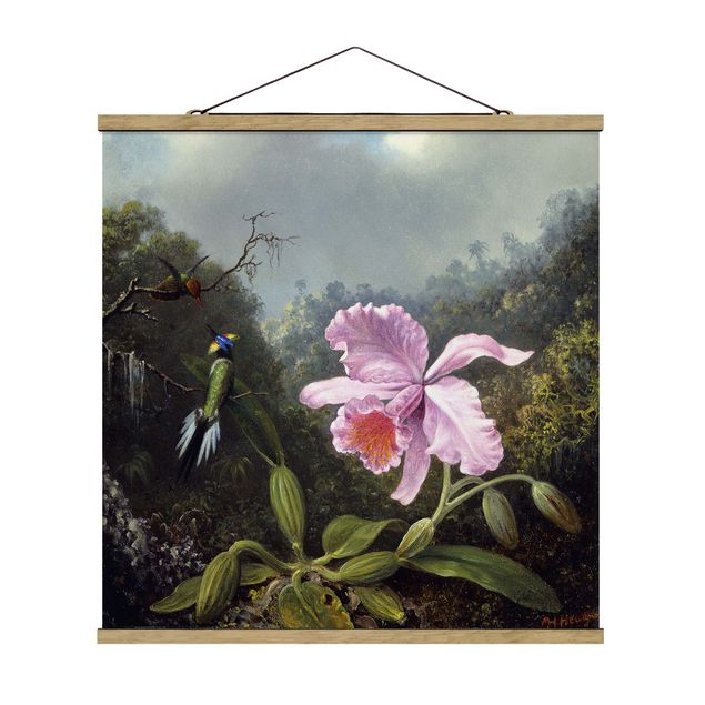 Art posters Martin Johnson Heade - Still Life With An Orchid And A Pair Of Hummingbirds