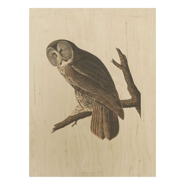 Vintage wood prints Vintage Board Great Owl