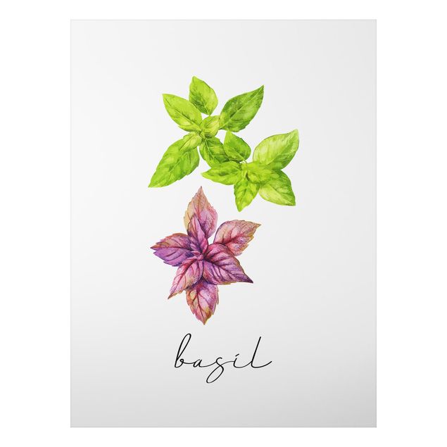 Prints floral Herbs Illustration Basil