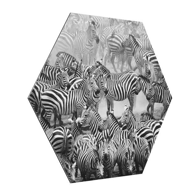 Prints modern Zebra herd II