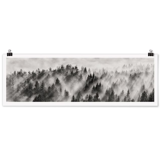 Posters black and white Light Rays In The Coniferous Forest