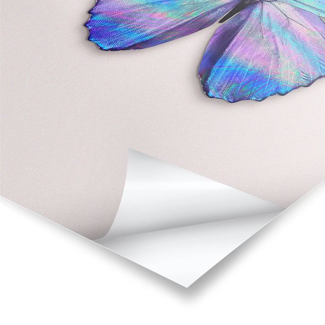 Jonas Loose Holographic Butterfly