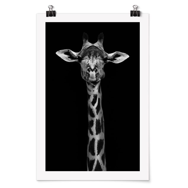 Black and white poster prints Dark Giraffe Portrait