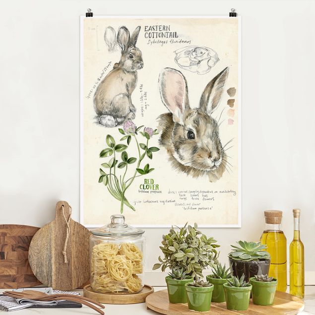 Kitchen Wilderness Journal - Rabbit