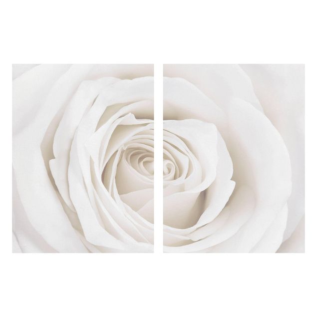 Contemporary art prints Pretty White Rose